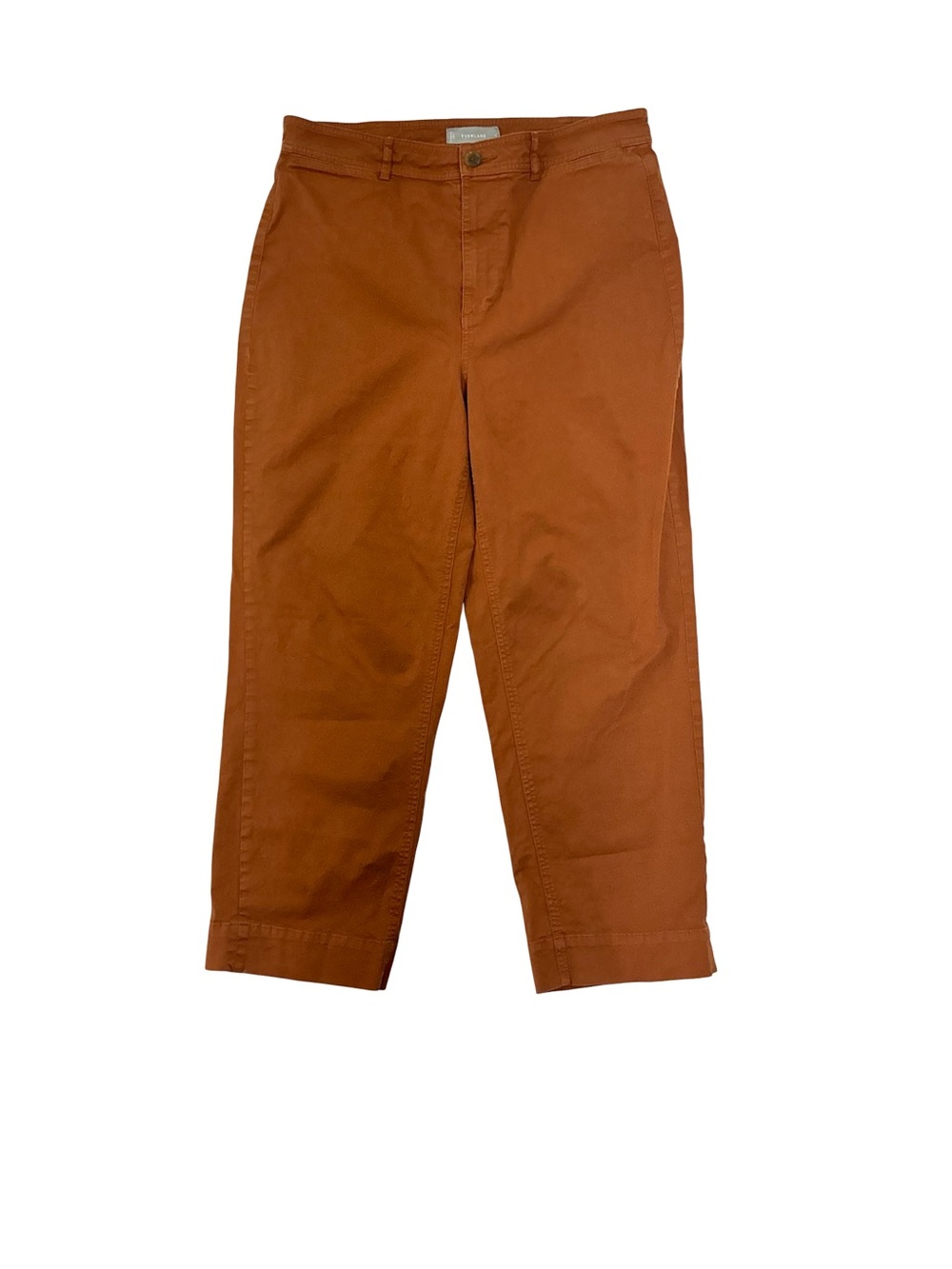 Everlane The Straight-Leg Crop Pants Size 12 Rust Orange Workwear